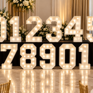Illuminated Numbers 0-9 + extra 0,1,2